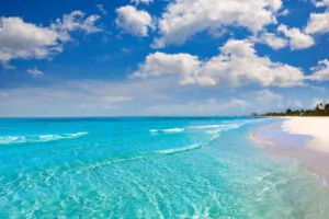 Fort Myers Beach Dumspter Rental Fort Myers FL